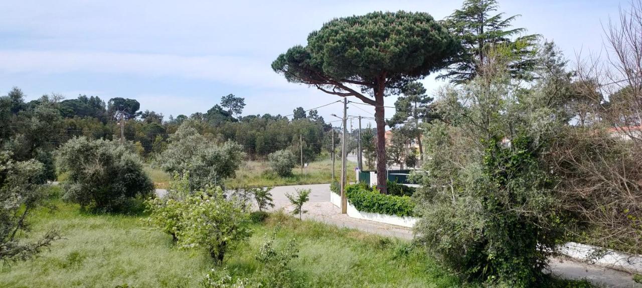 Villa Shardana B&B Sesimbra Esterno foto